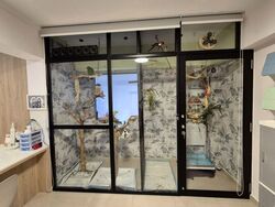 Blk 115 Pasir Ris Street 11 (Pasir Ris), HDB 4 Rooms #534316321